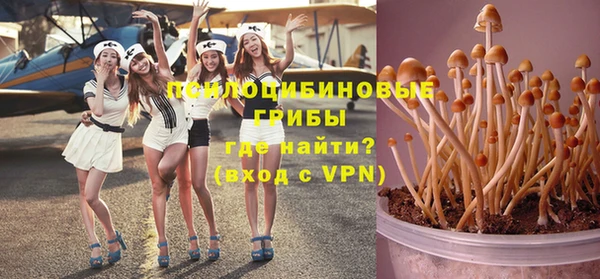 бошки Кодинск
