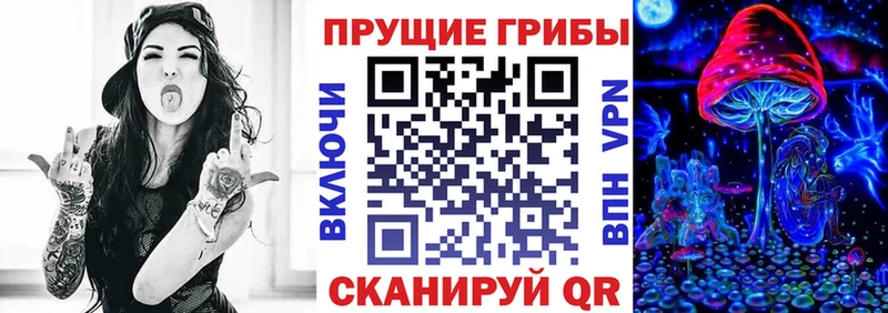 Псилоцибиновые грибы Psilocybine cubensis  Купить закладки  Игарка 